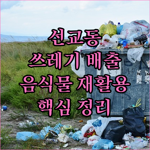 선교동 쓰레기 배출 일반 음식물 재활용 핵심 정리