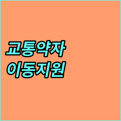 2025년 교통약자 이동지원: 서울시 특별교통수단 이용 방법