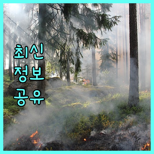 2025 세종시 아빠장려금, 육아 지원금 신청 방법 및 조건 완벽 가이드