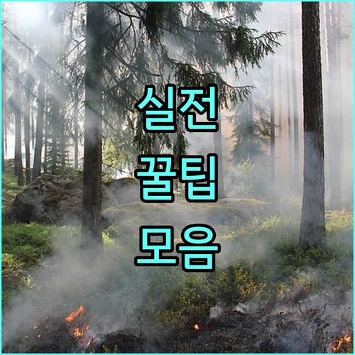 영주시 2025 기초생활수급자 공동전기요금 지원: 자격 조건 및 신청 방법 상세 안내