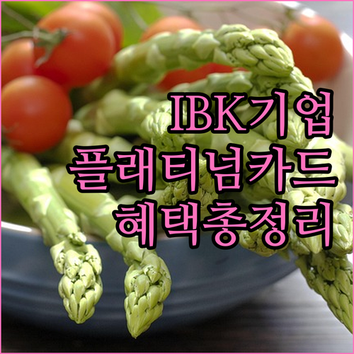 IBK 플래티넘 기업카드: 발급 조건과 주요 혜택 총정리