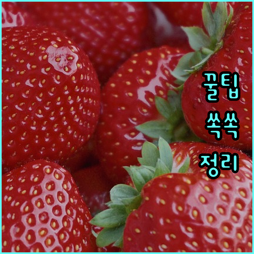 2025 서울 중구사랑상품권: 5% 할인으로 지역 경제 활성화