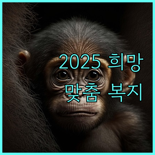 2025 희망복지기동지원: 저소득층을 위한 맞춤형 복지 서비스