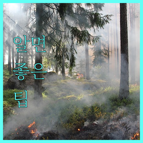 경기도 강제동원 피해 여성 근로자 지원 2025 | 놓치지 마세요!