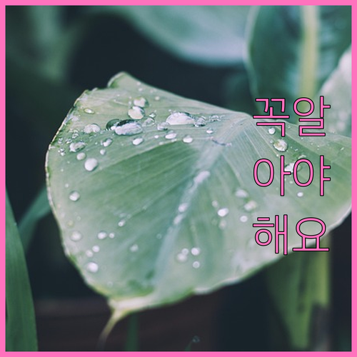 쓰레기 걱정 끝! 용연동 폐기물 배출 방법 한눈에 보기