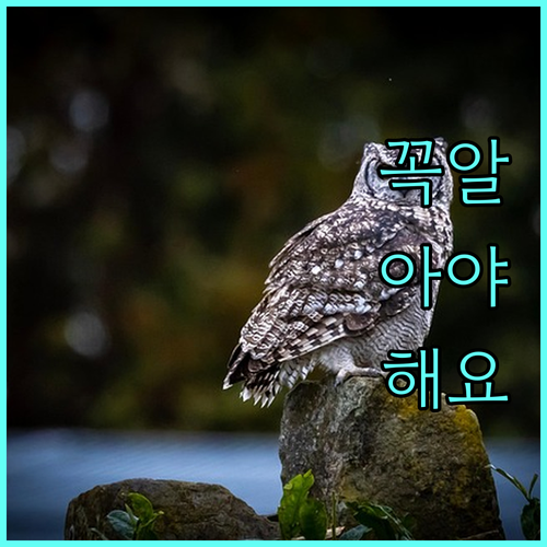 서초구 거주 장애인 2025년 치과 진료 부담 없이 지금 신청