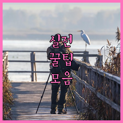 내 집 앞 깨끗하게! 광산동 쓰레기 배출 시간, 장소, 분리수거 핵심 정보