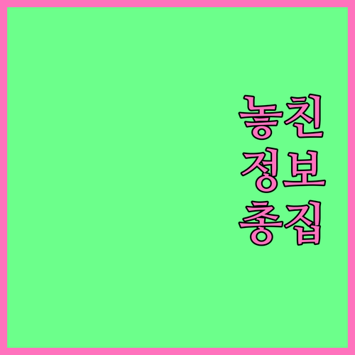 유촌동 쓰레기 배출, 일반부터 대형까지 한 번에 끝내기