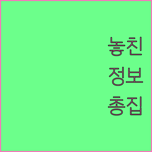 대곡동 쓰레기 배출, 이것만 알면 끝: 분리수거 & 배출요일