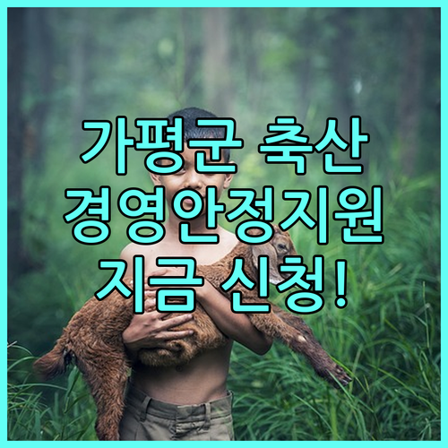 가평군 축산 농가를 위한 2025 축산 경영안정 지원, 지금 바로 신청하세요!