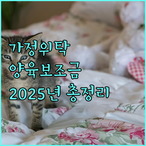2025년 가정위탁 양육보조금: 자격, 금액, 신청, 추가 지원 혜택 총정리