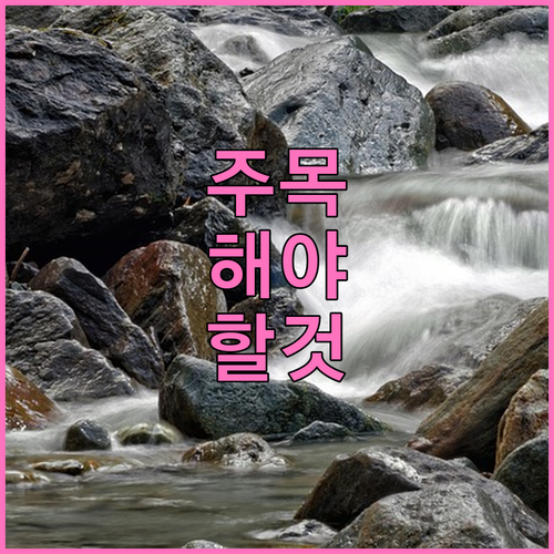 광주 화정동 쓰레기 배출 요일과 방법 핵심 정보