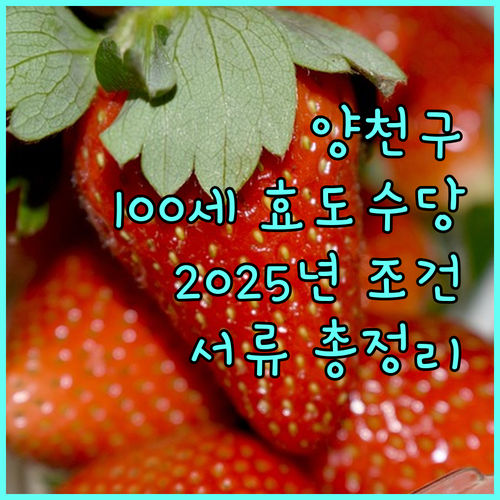 양천구 100세 이상 효도수당 2025년 지급 조건 및 서류 총정리