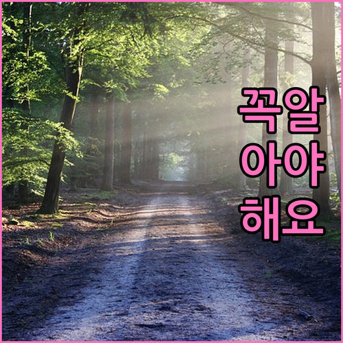 계룡시 청년 학자금 부담 완화! 2025년 이자 지원 사업 총정리