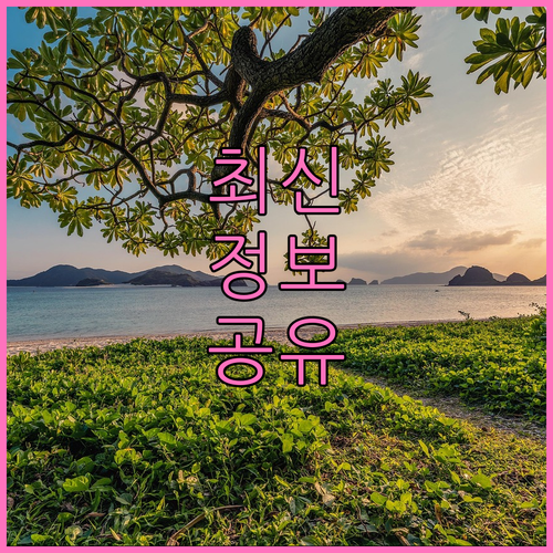 재활용품 분리배출 핵심! 광주 북구 중흥동 시민 필수