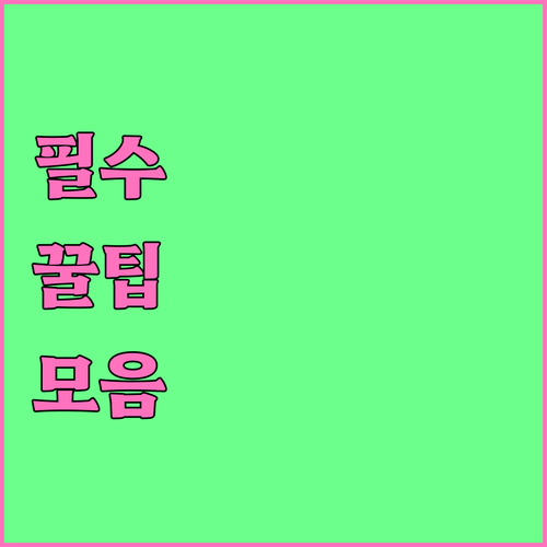 동림동 쓰레기 요일별 배출법: 과태료 없이 깨끗하게!