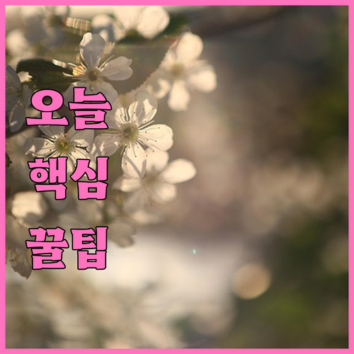 대전 동구 대형폐기물 버리기! 100만원 과태료 피하는 팁