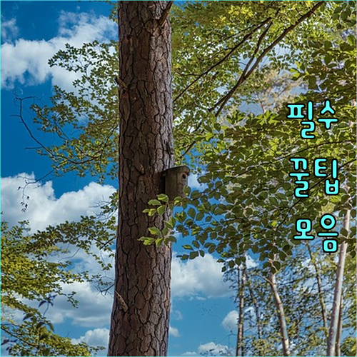 노인 장애인 다자녀 2025 능곡어울림센터 감면 안내