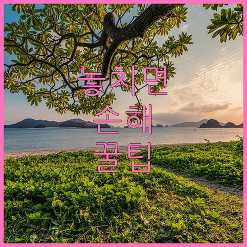 성남동 대형 폐기물 스티커, 인터넷 신고로 집에서 뽑는 법