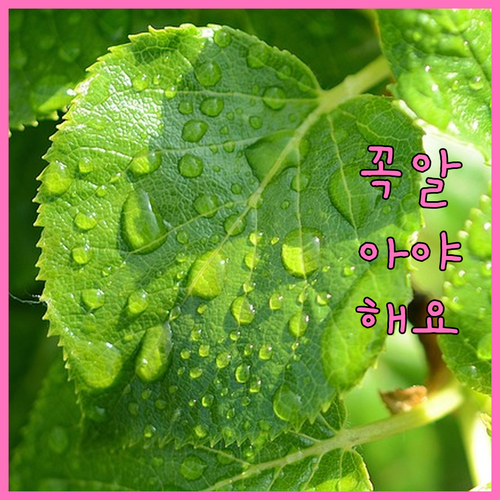 광주 남구 사동, 쓰레기 버리는 법 헷갈린다면? 이 정보 주목!
