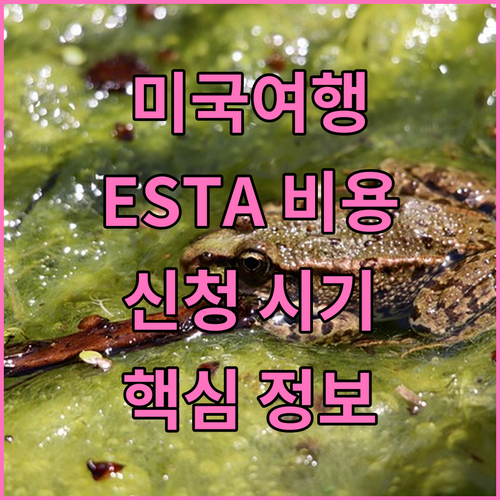 성공 미국 여행 ESTA 수수료 신청 시기 핵심 정보