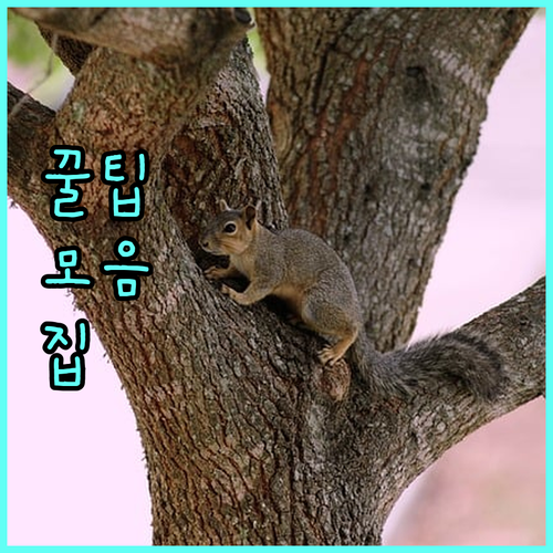 전세사기 피해 2025년 관악구 소송비 100만원 지원 상세 안내