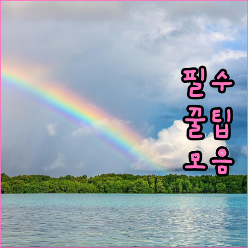 용봉동 재활용품: 월·수·금! 올바른 분리배출 비법