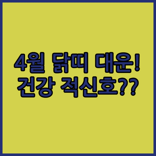 2026년 4월 닭띠 종합 운세 및 시기별 건강 주의사항