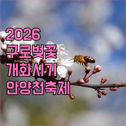 2026년 구로구 벚꽃 개화 시기 및 안양천 축제 정보