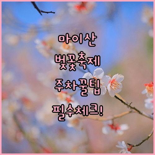 진안 마이산 벚꽃 축제 기간과 주차 정보 및 방문 팁