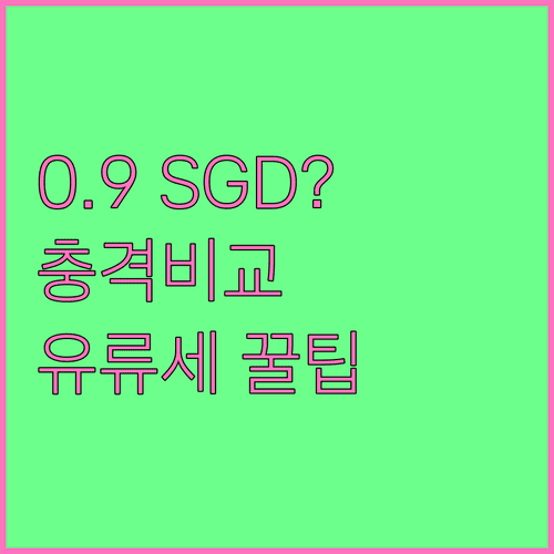 싱가포르 그랩 0.90 SGD 할증료와 항공권 유류세 비교