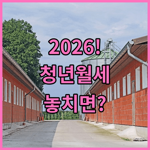2026 안성시 청년월세지원 소득 기준 및 신청처