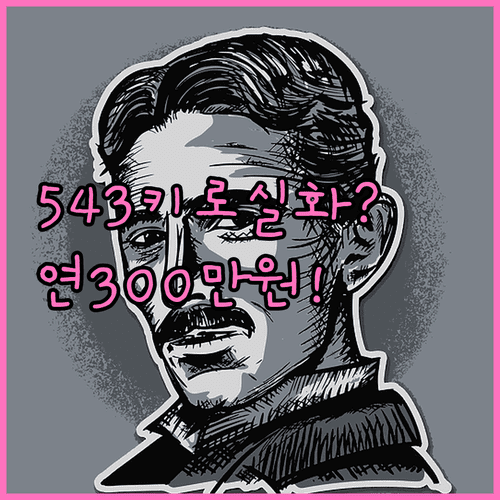 테슬라 모델 YL 살 만한 이유 | 543km 주행거리와 연간 300만원 절약