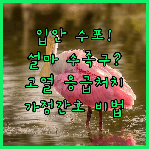 image 5c701dd5