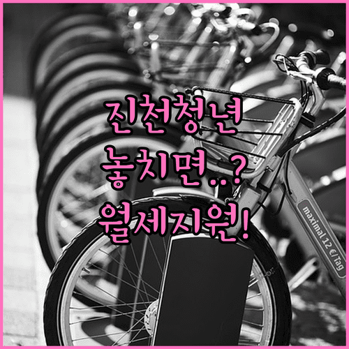 2026년 진천군 청년월세지원 놓치지 말아야 할 핵심