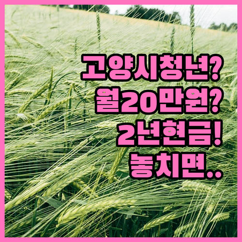 2026년 고양시 청년월세 지원 | 월 20만 원 2년간 현금 지원