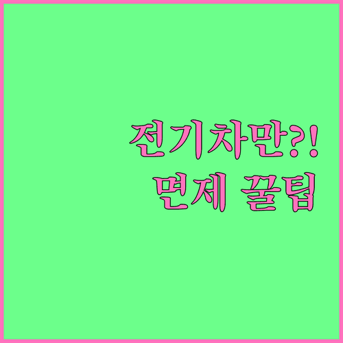 현행 전기차와 수소차만 면제되는 5부제 알아보기