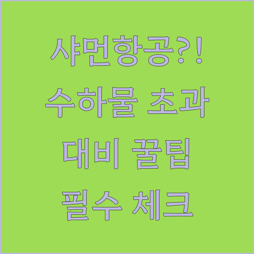 샤먼항공 수하물 초과 대비 사전 체크리스트