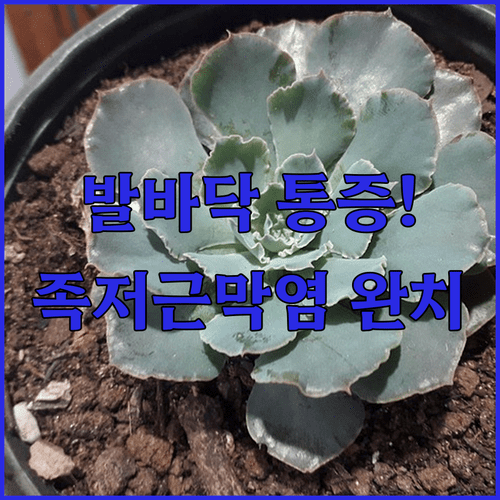 image 34a7d4fe