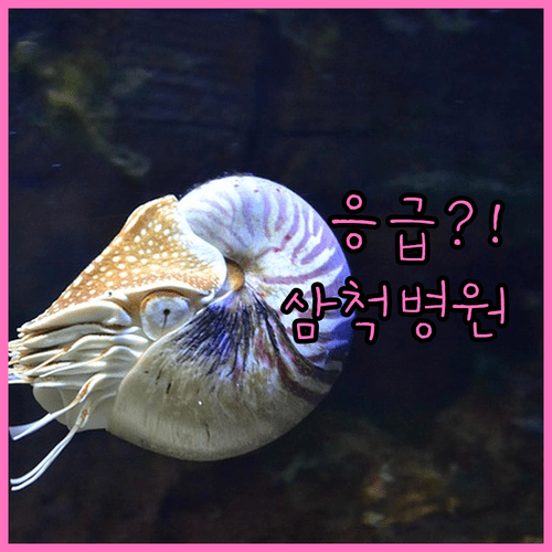 image 3fc6d63e