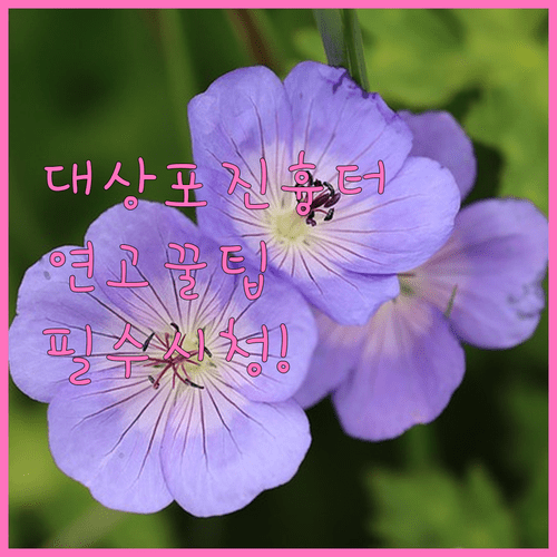대상포진 흉터 없애기 | 연고 사용법과 병원 치료법