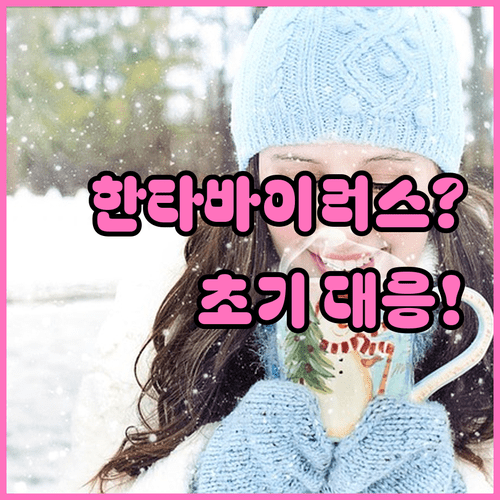 한타바이러스와 일반 감기 차이점 및 초기 대응 방법