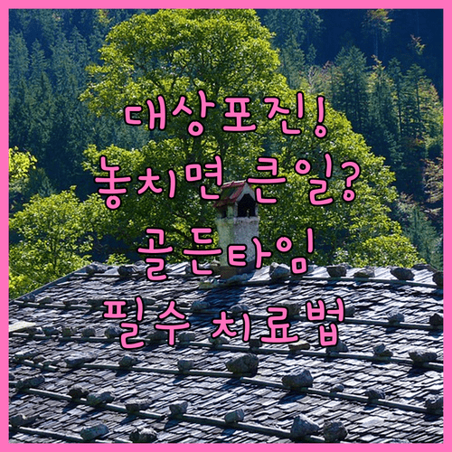 image a1e27b98