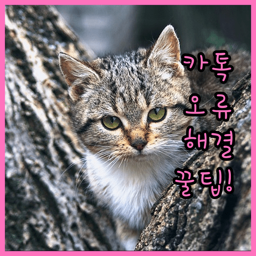 image d97bd53e