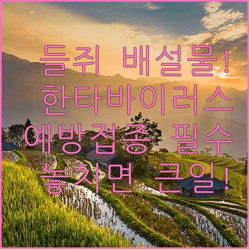 image d9bbea1b