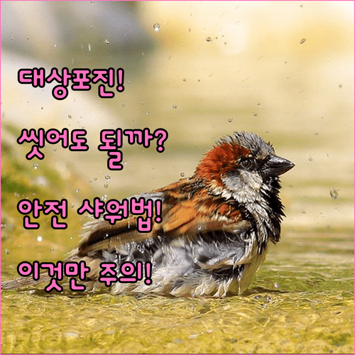 image e2cc5526