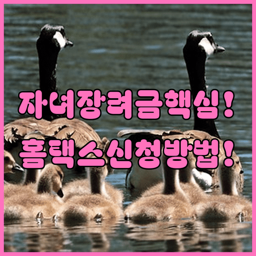 image e66b8afd