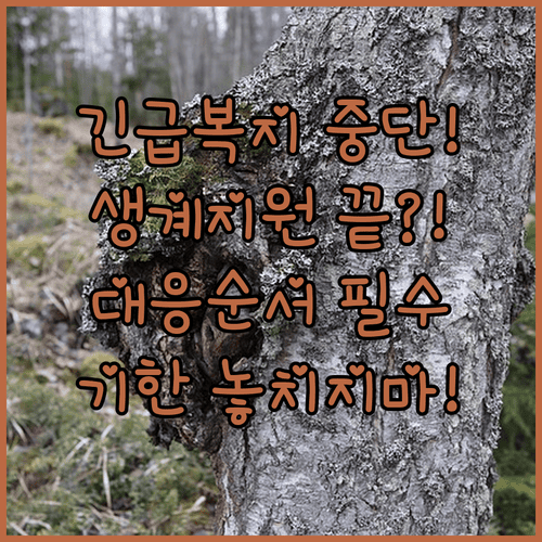 image e828d843